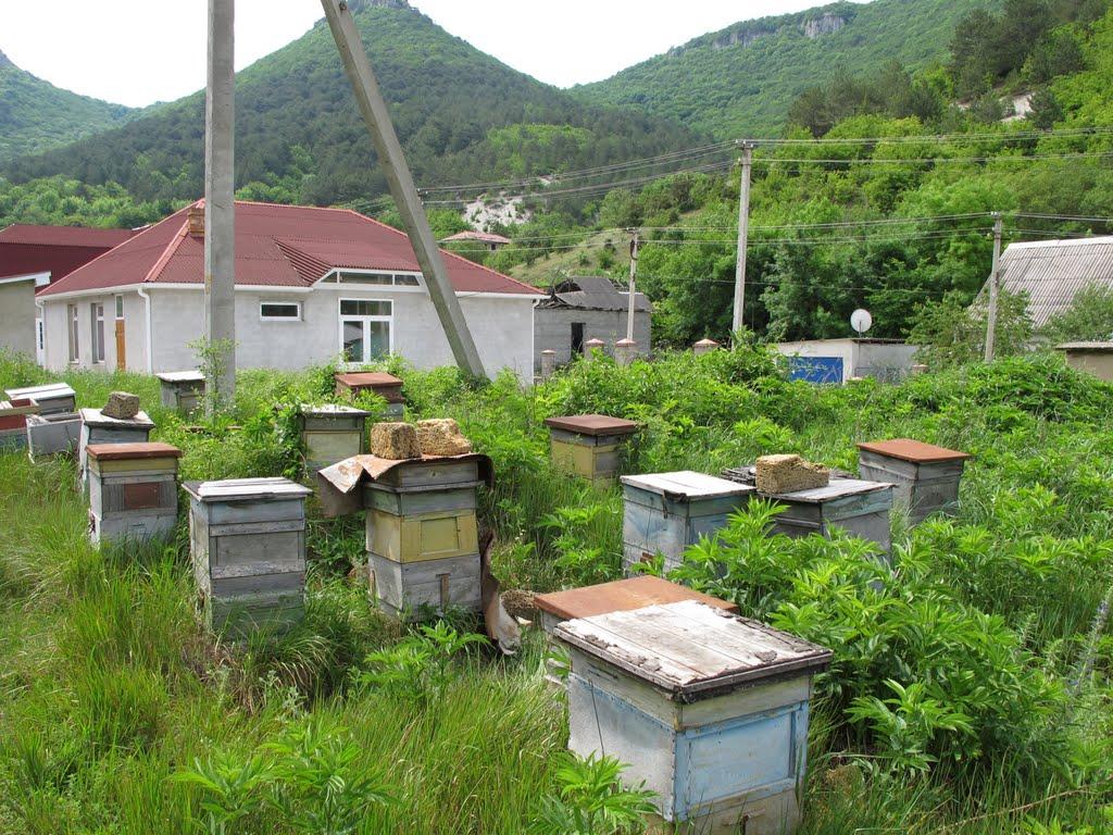 Залісне з panoramio.com (ч.2) - Залісне