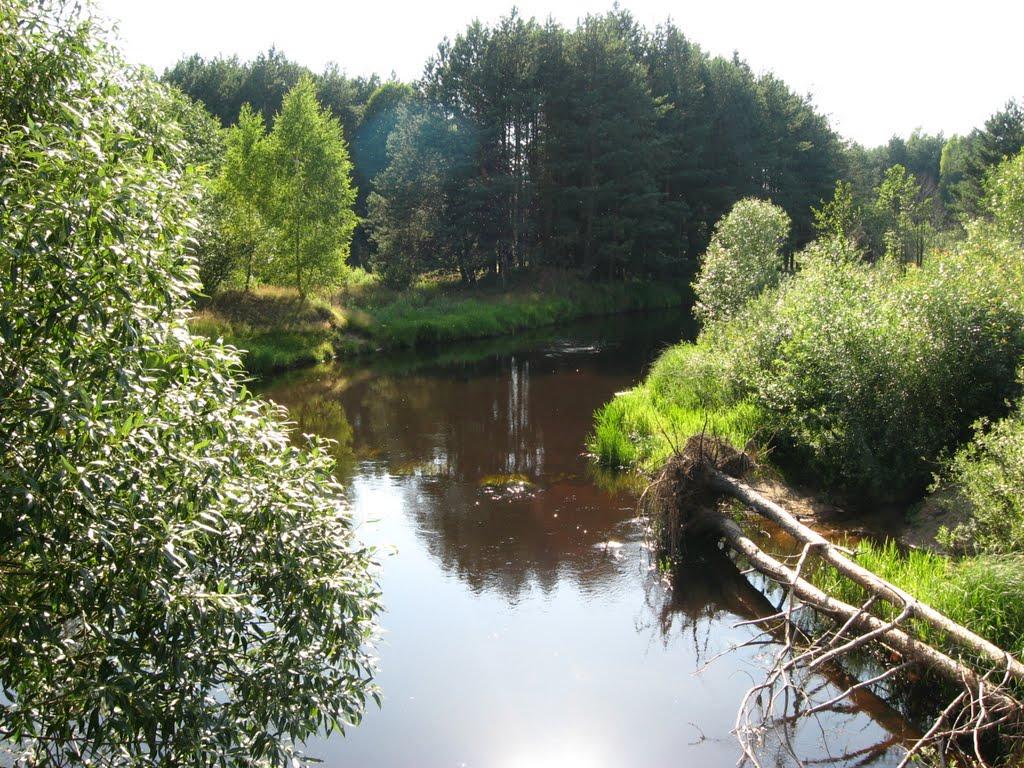 Ігнатпіль з panoramio.com - Игнатполь