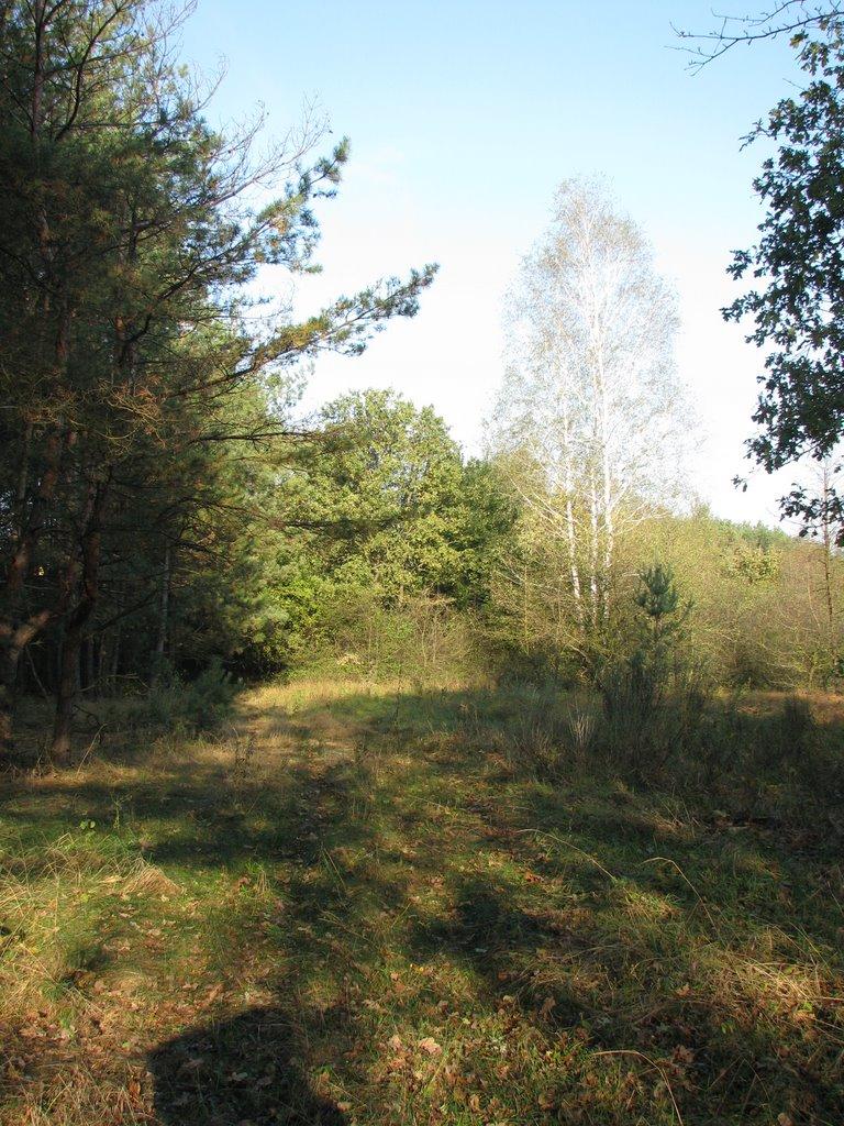 Жовтневе з panoramio.com - Жовтневое