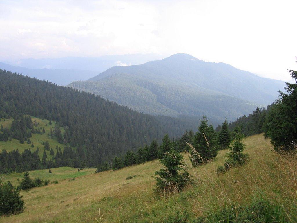 Говерла з panoramio.com (ч.2) - Говерла