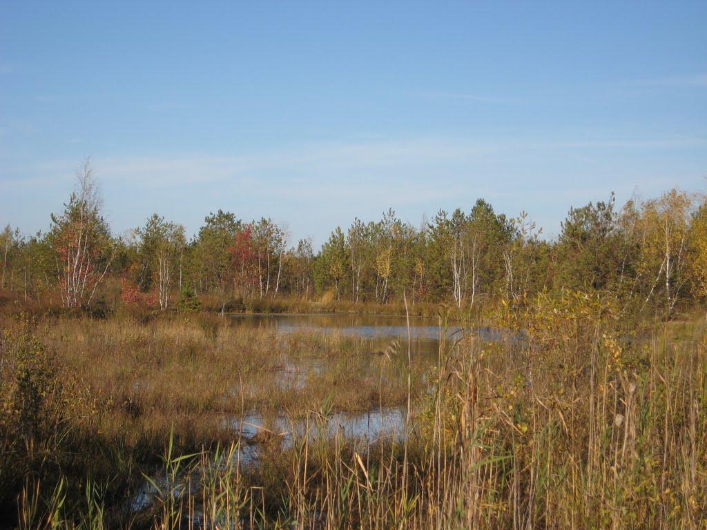 Вишнів з panoramio.com - Вишнів