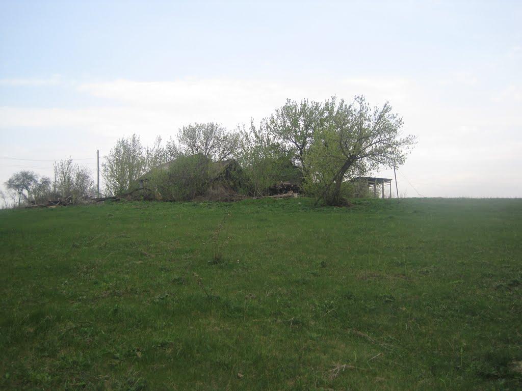 Нижче Солоне з panoramio.com - Нижче Солоне