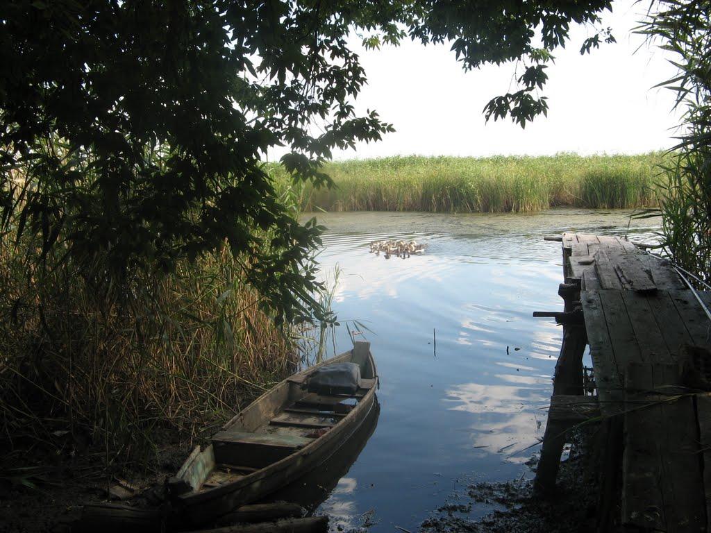 Займанка з panoramio.com - Займанка