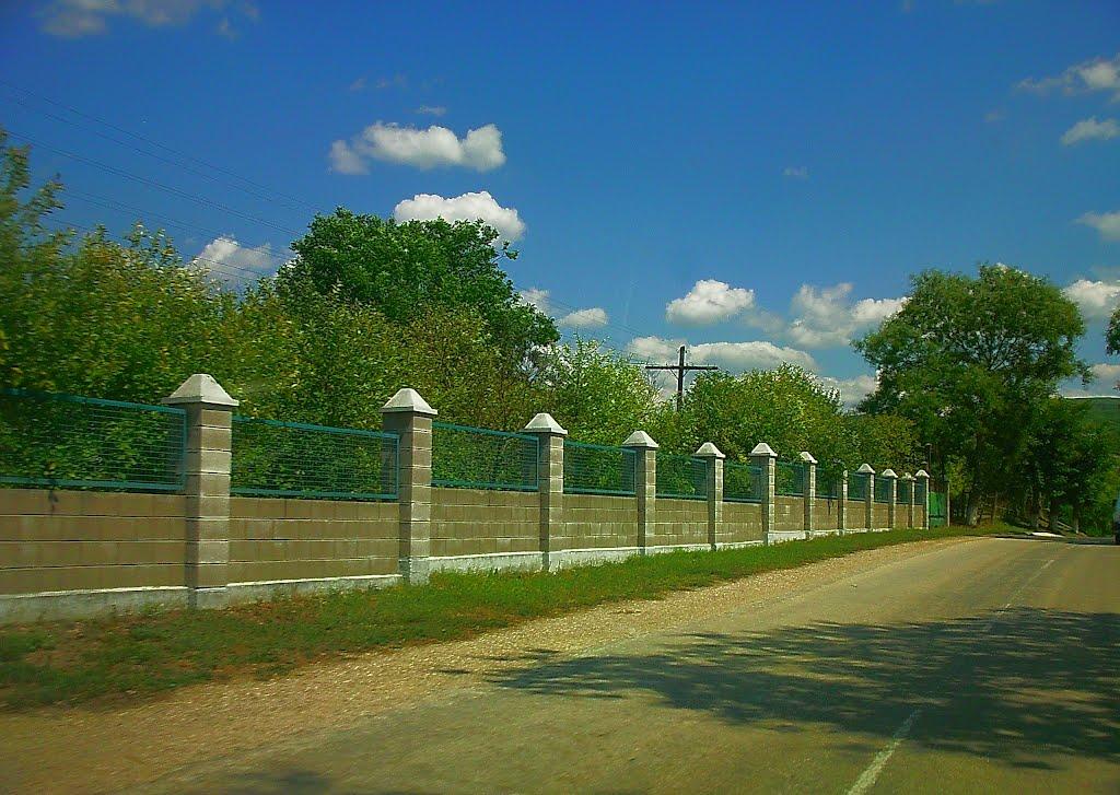 Верхоріччя з panoramio.com - Верхоречье
