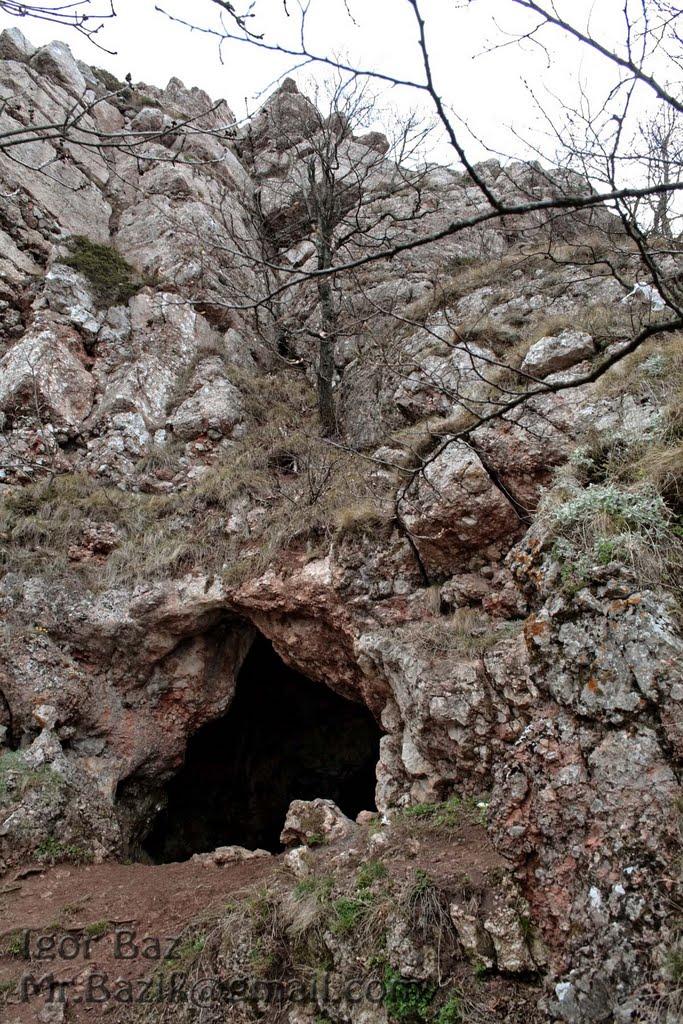 Лаванда з panoramio.com (ч.2) - Лаванда