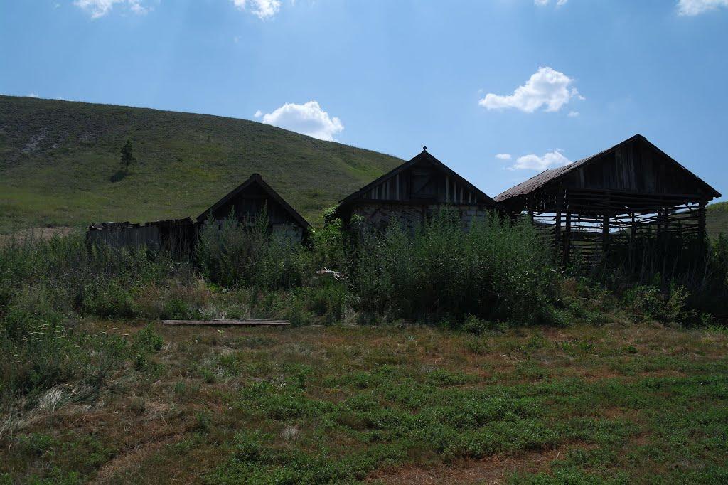 Петренкове з panoramio.com - Петренково