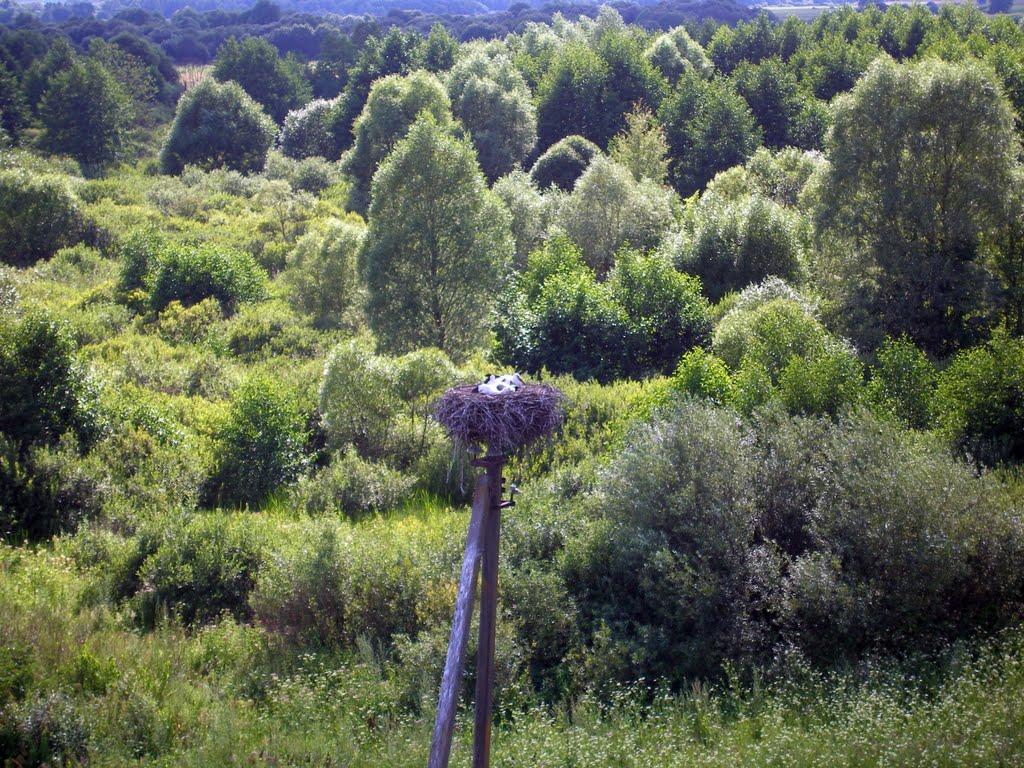 Мутин з panoramio.com - Мутин