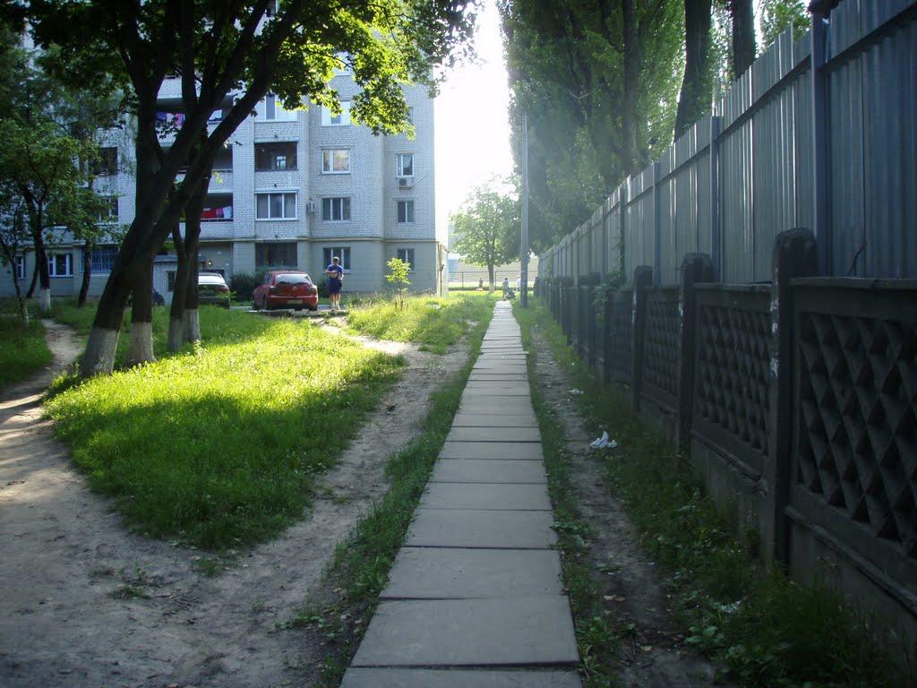 Коцюбинське з panoramio.com (ч.3) - Коцюбинское