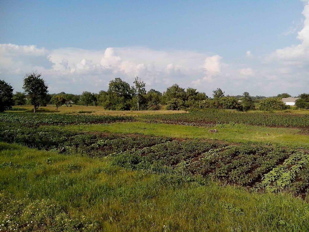 Хорішки з panoramio.com - Хорошки