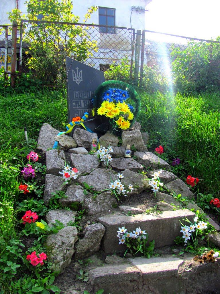 Куликів з panoramio.com - Куликів