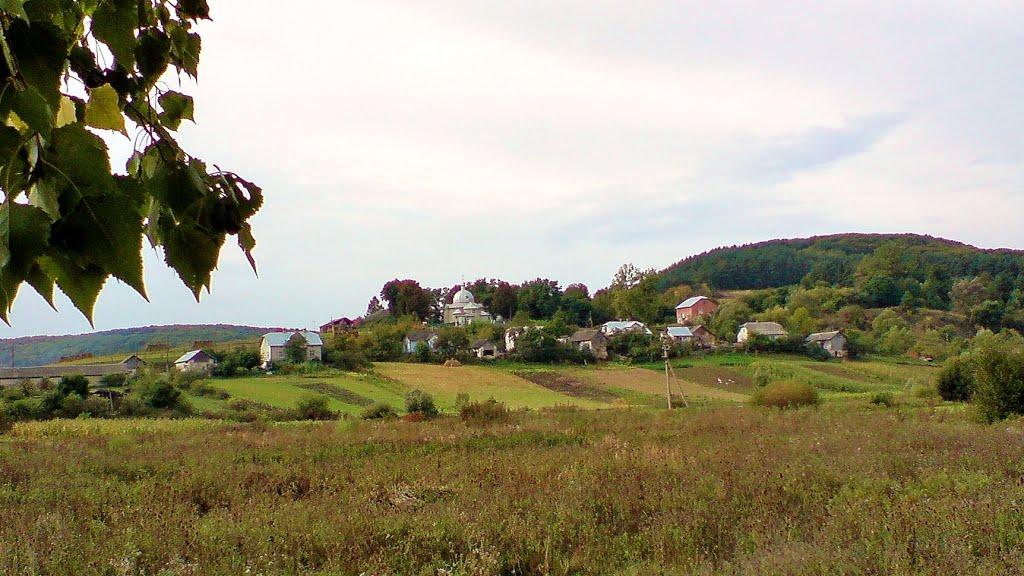 Павлів з panoramio.com - Pavliv