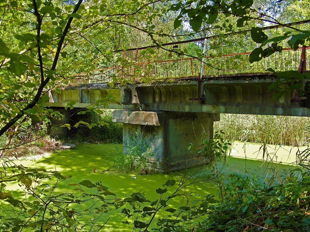 Новомосковськ з panoramio.com (ч.3) - Новомосковськ