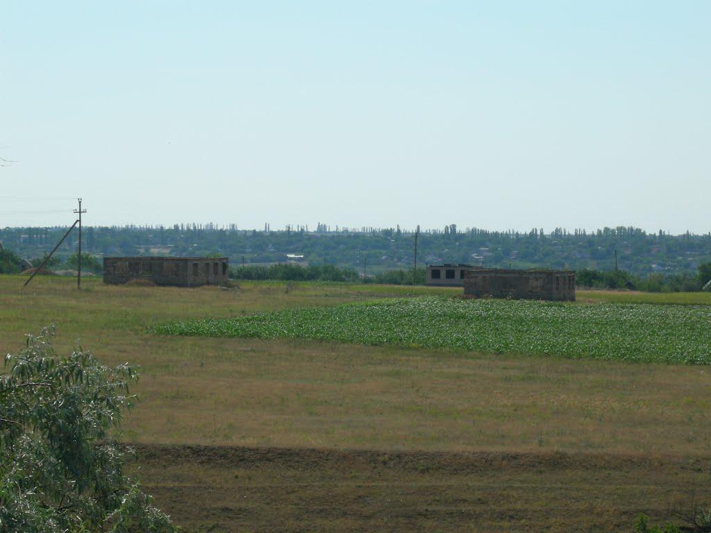 Пересадівка з panoramio.com - Пересадівка