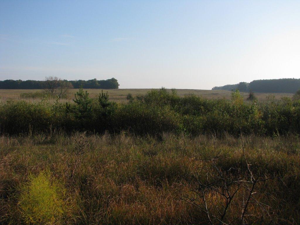 Сомкова Долина з panoramio.com - Сомкова Долина