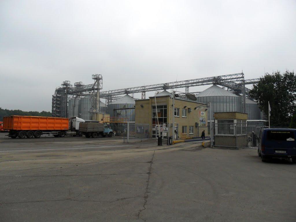 Новомихайлівка з panoramio.com - Новомихайлівка