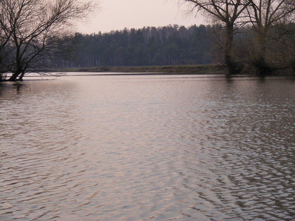 Кузьки з panoramio.com - Кузьки