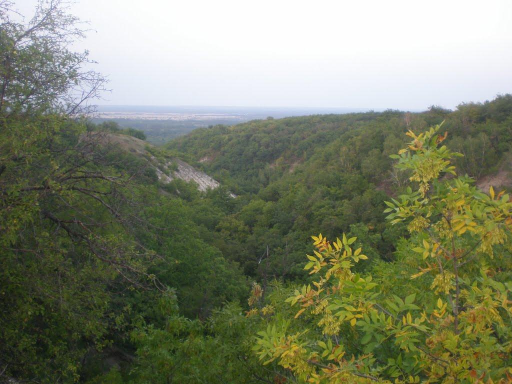 Давидо-Микільське з panoramio.com - Давидо-Микільське