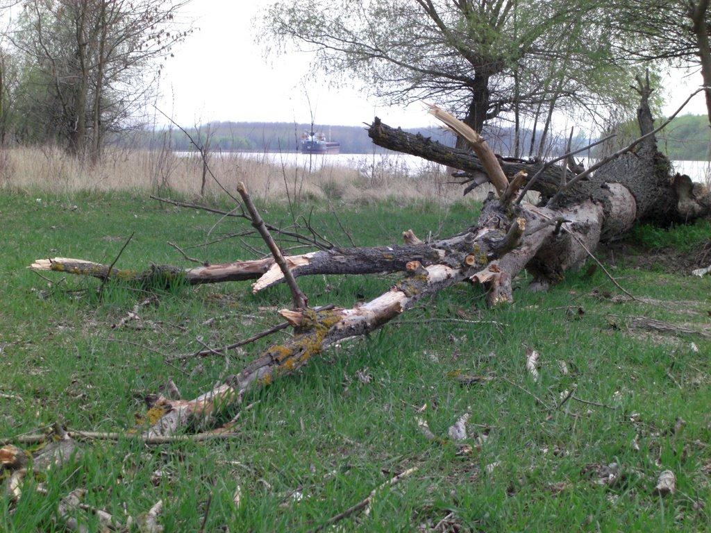 Матроська з panoramio.com - Матросская