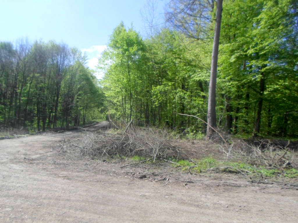 Краєвид - Сихів