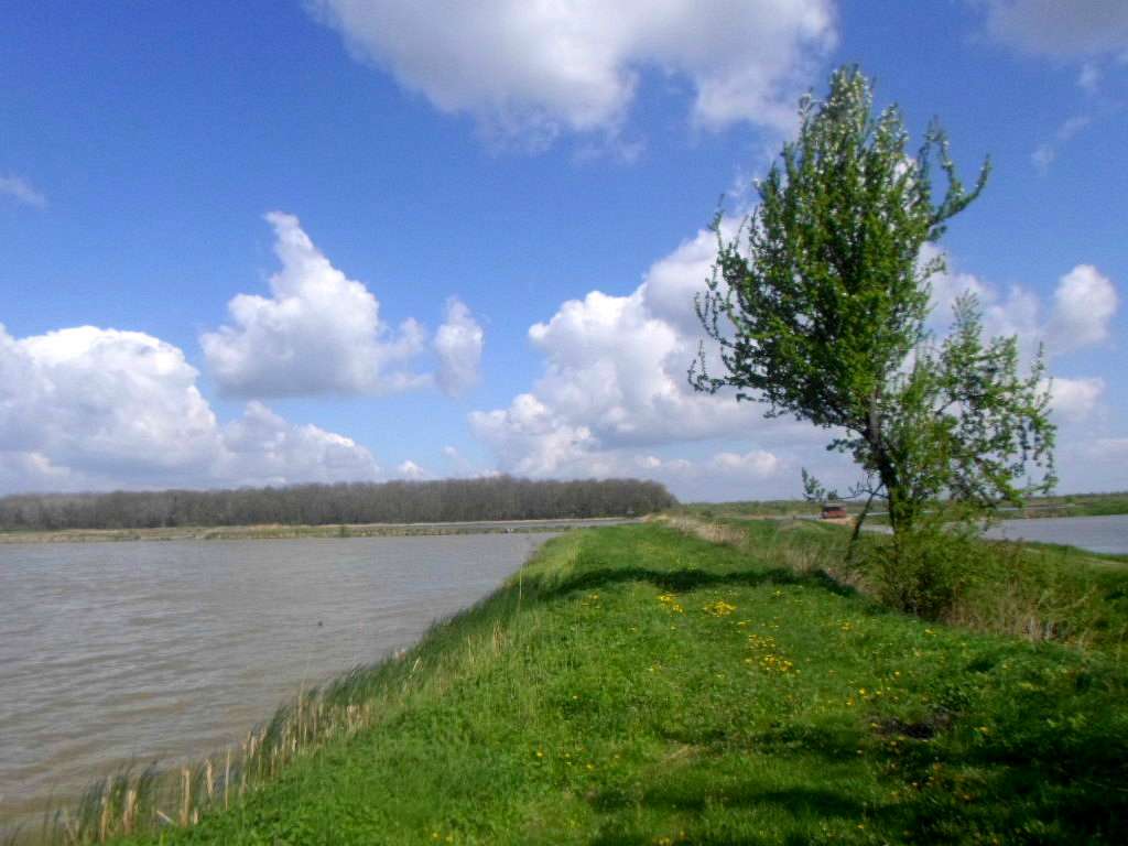 Рибгосп - Лани Соколівські