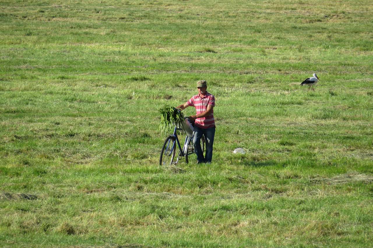 ДОРОГОБУЖ. ПЕРЕД ТРІЙЦЕЮ ПОНАД ГОРИННЮ. - Дорогобуж