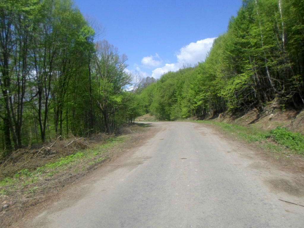 Краєвид - Лотатники