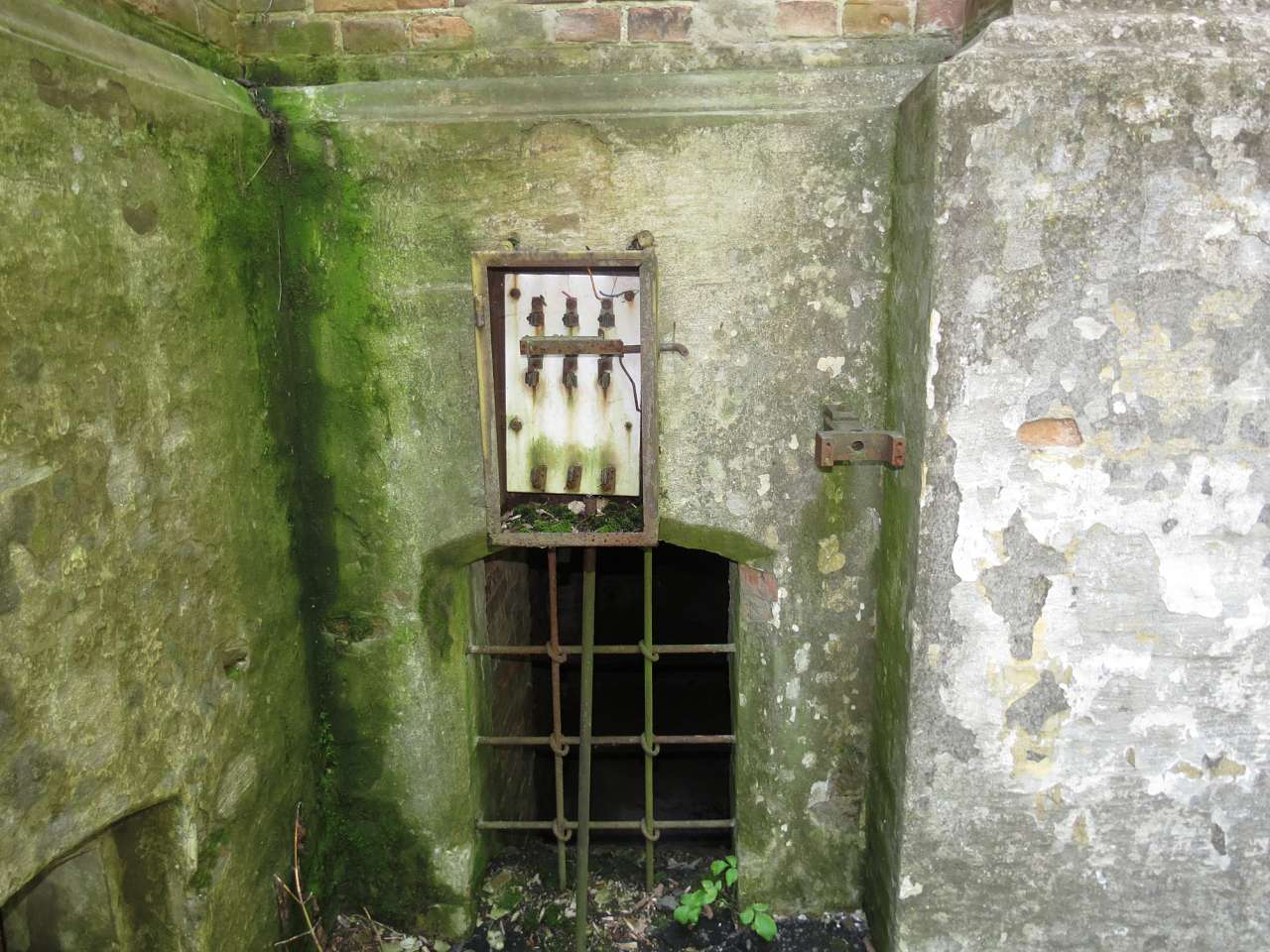 ПАЛАЦ ДАХНОВСЬКИХ - Леськове