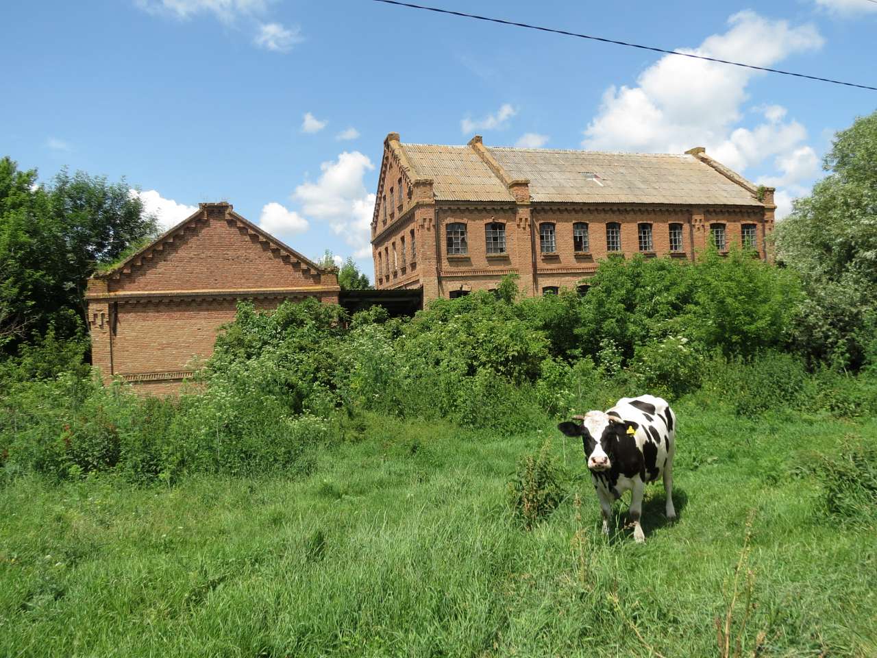 САРНИ ЦЕ БІЛЯ МОНАСТИРИЩА - Сарни