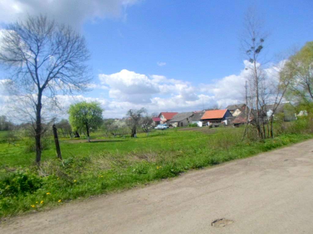 Краєвид - Лотатники
