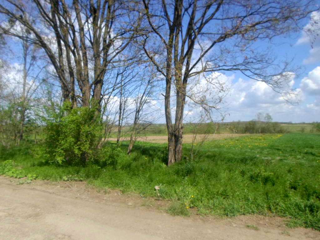 Краєвид - Лотатники