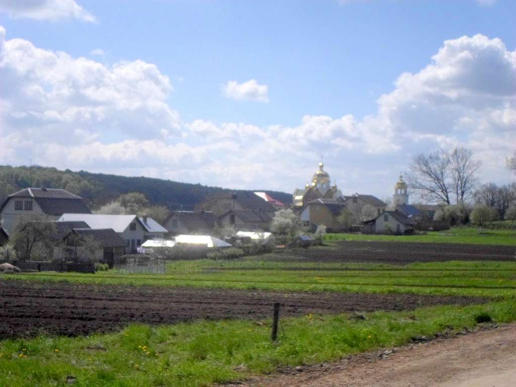 Краєвид - Лотатники
