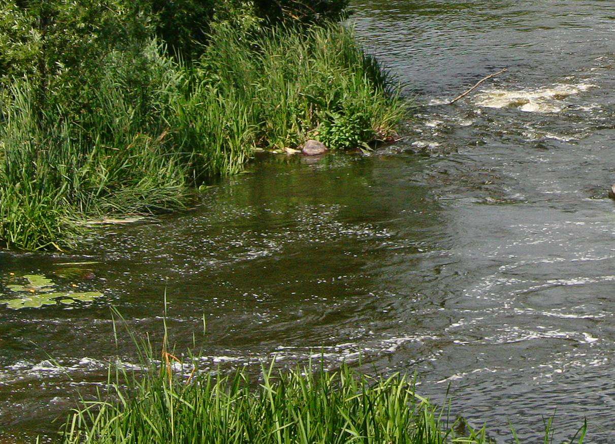 Млин, міні ГЕС - Городище-Пустоварівське