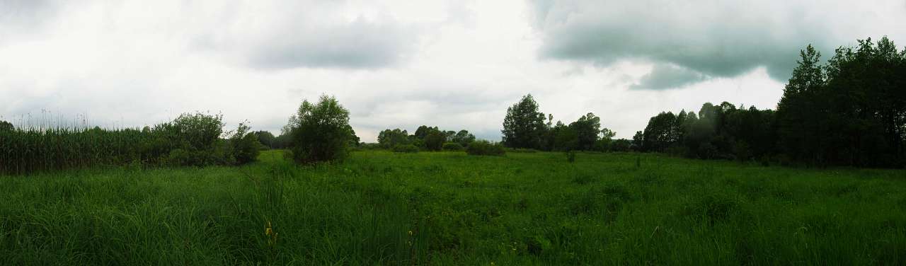 Літо-2016 - Бугруватка