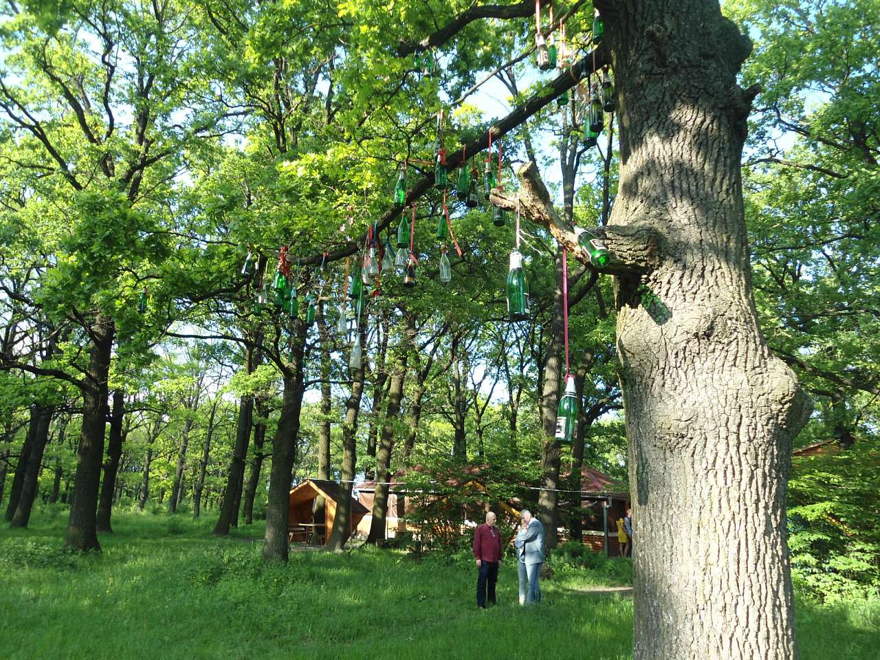 Потоки-Могилівка-Тартак - Потоки