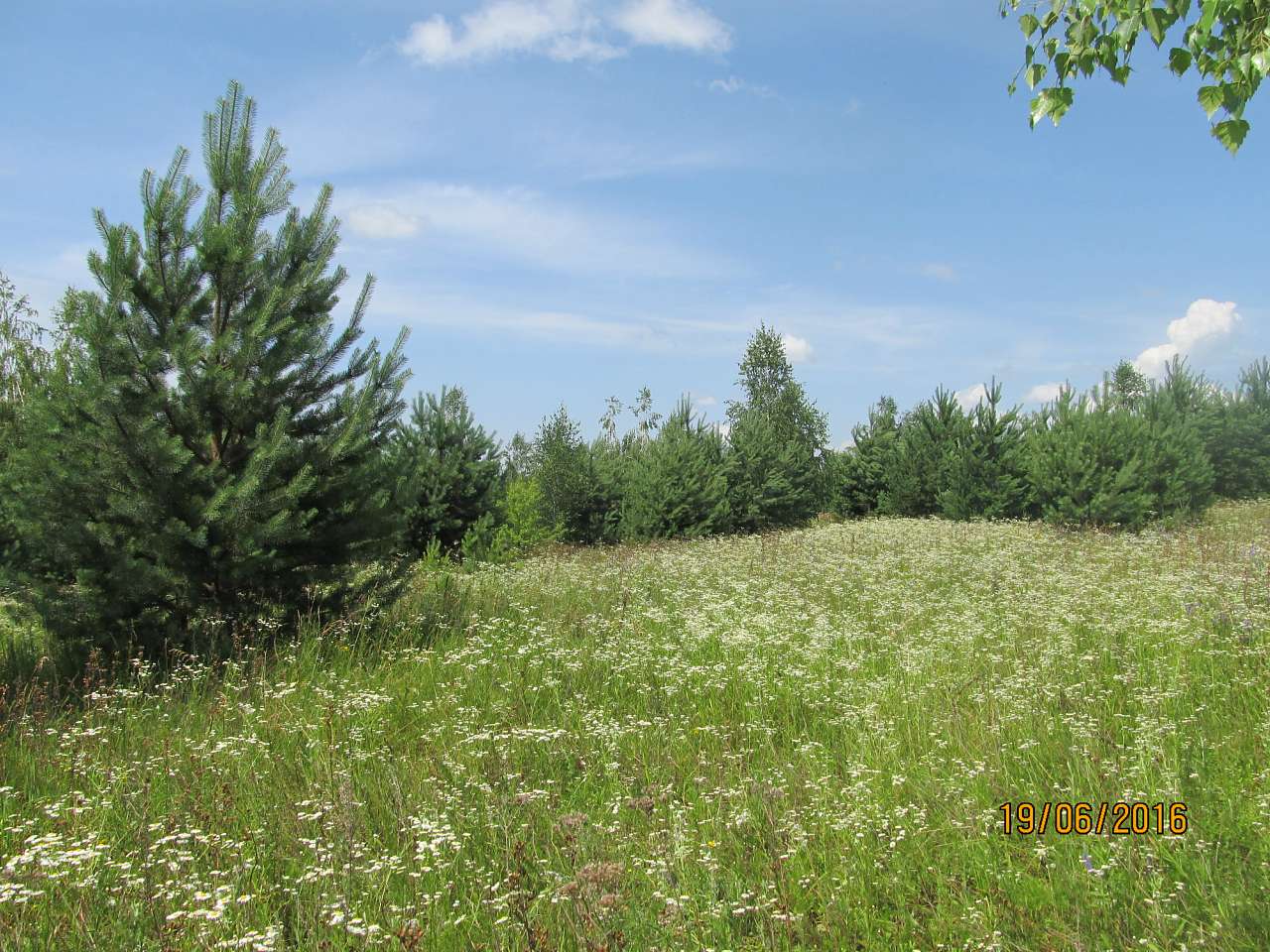 Літо 2016 - Велика Бугаївка