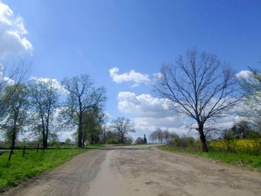 Краєвид - Лотатники