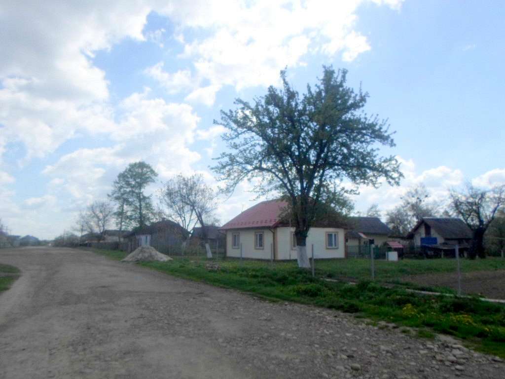 Краєвид - Лани Соколівські