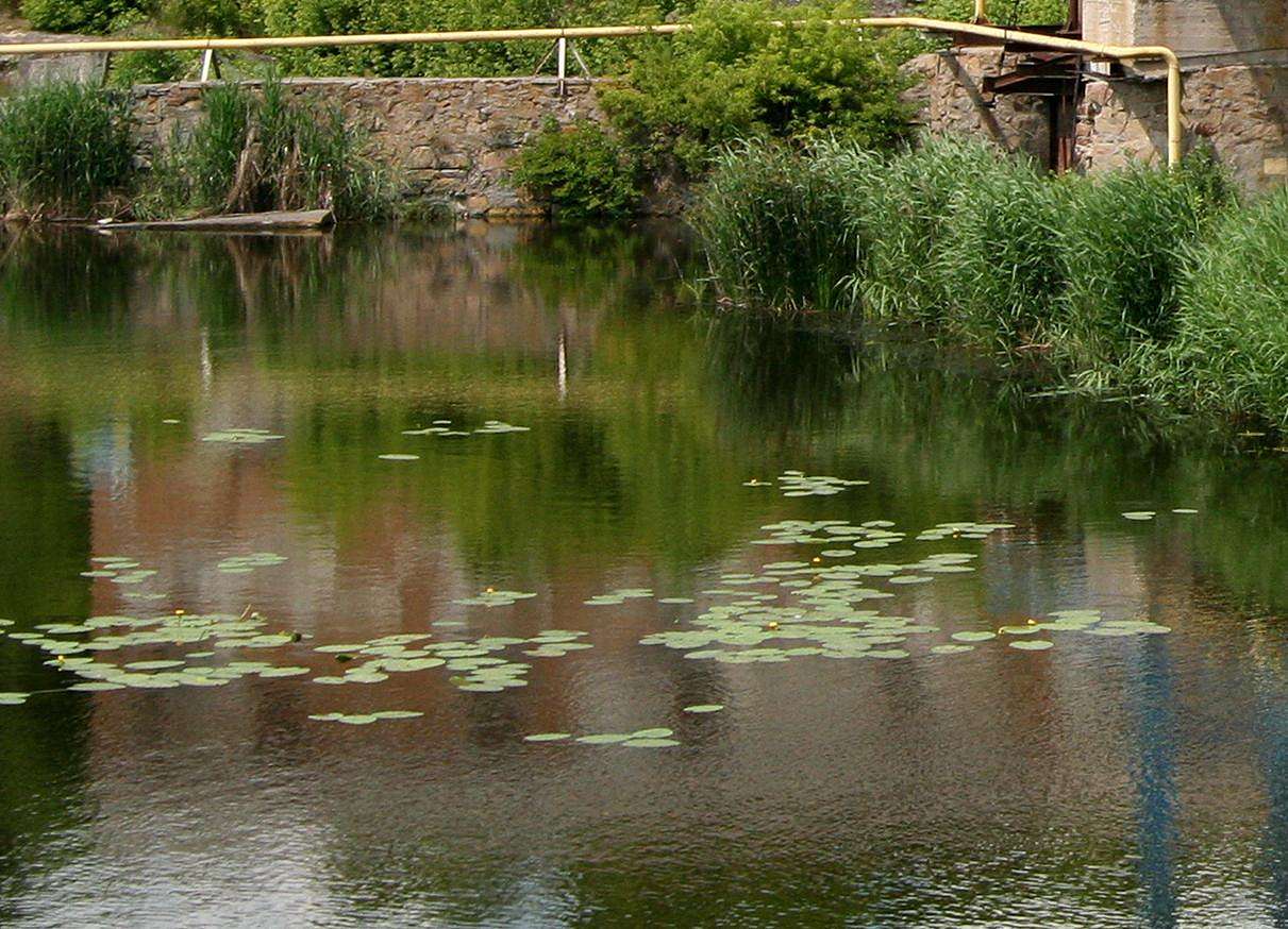 Млин, міні ГЕС - Городище-Пустоварівське