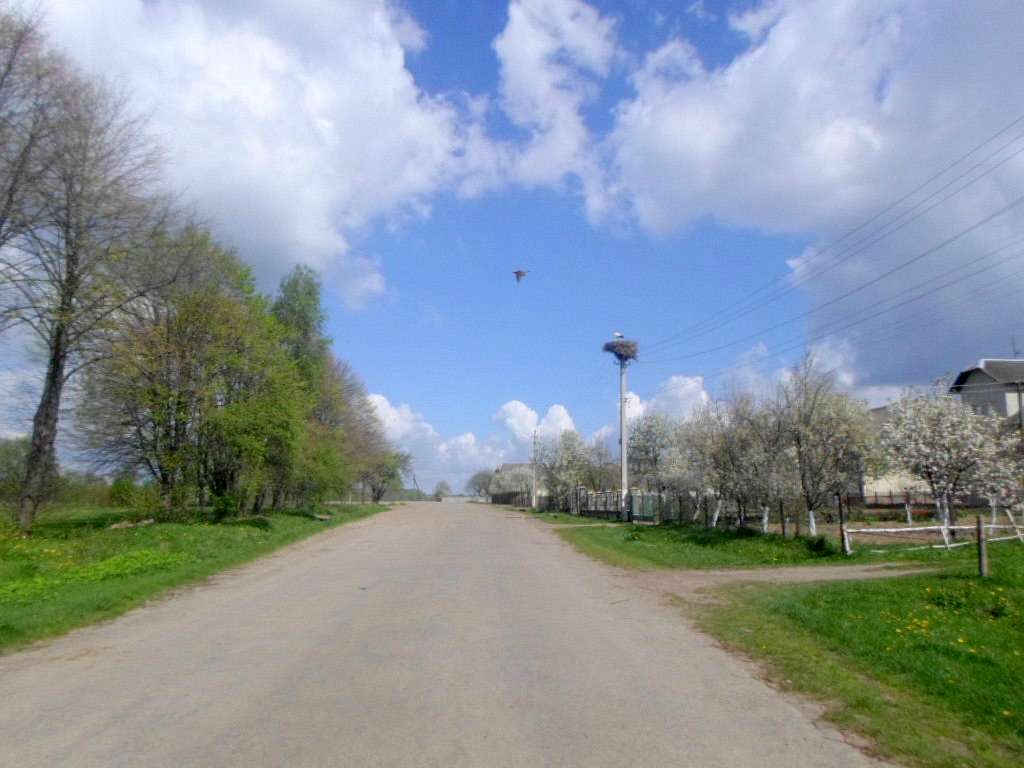 Краєвид - Sykhiv