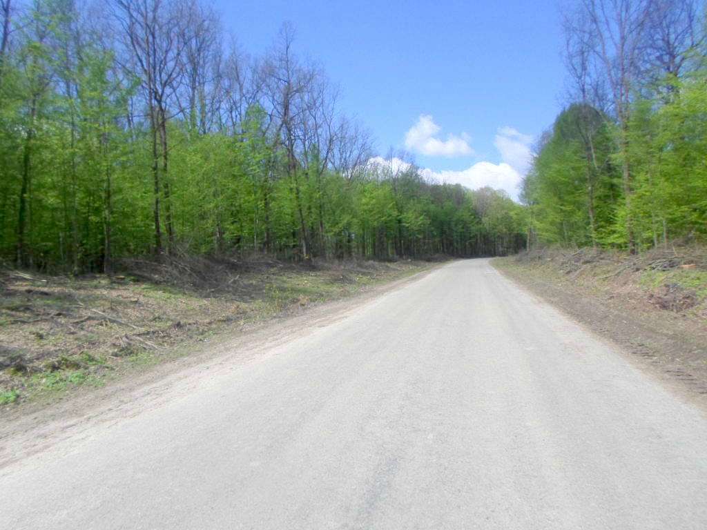 Краєвид - Сихів