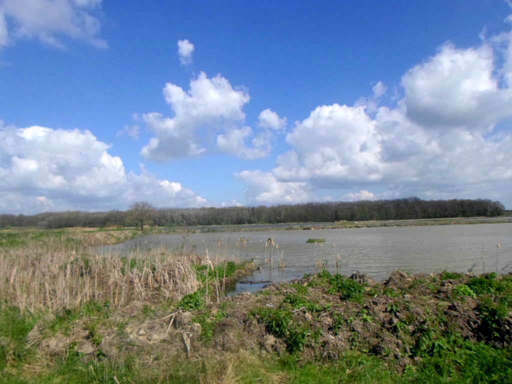 Рибгосп - Лани Соколівські