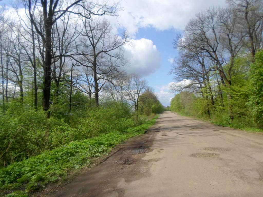 Краєвид - Лотатники