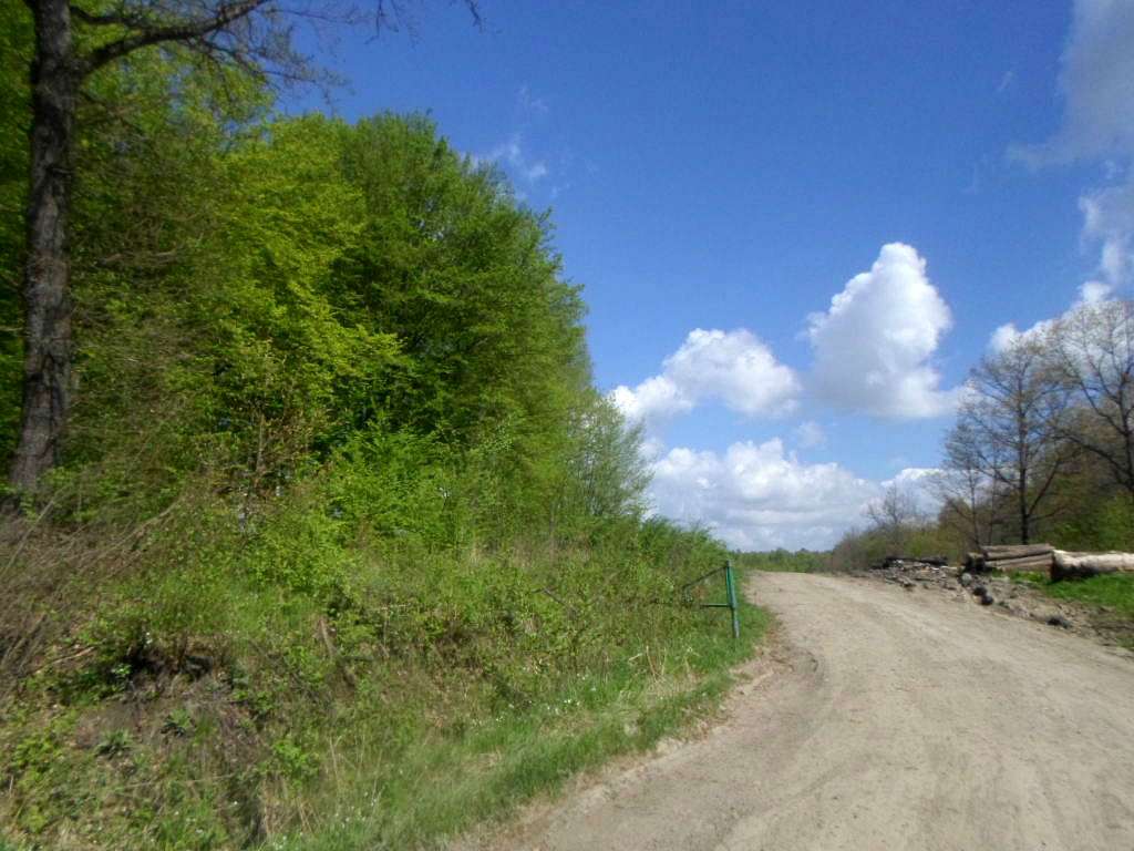 Краєвид - Сихів