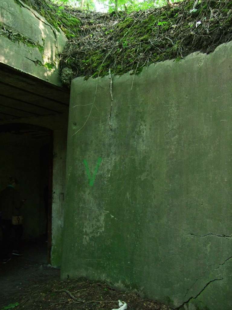 Тараканівський форт - Дубно