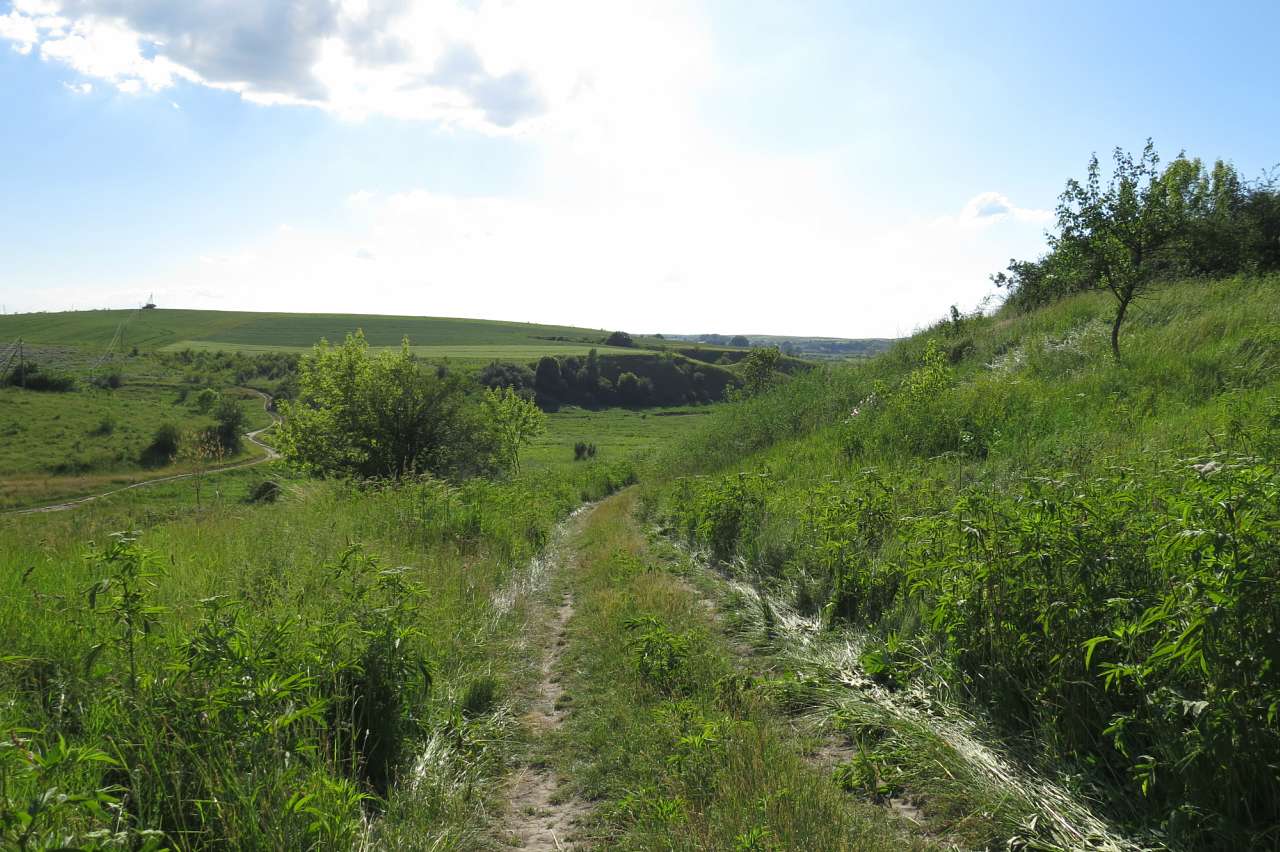ДОРОГОБУЖ. ПЕРЕД ТРІЙЦЕЮ ПОНАД ГОРИННЮ. - Дорогобуж