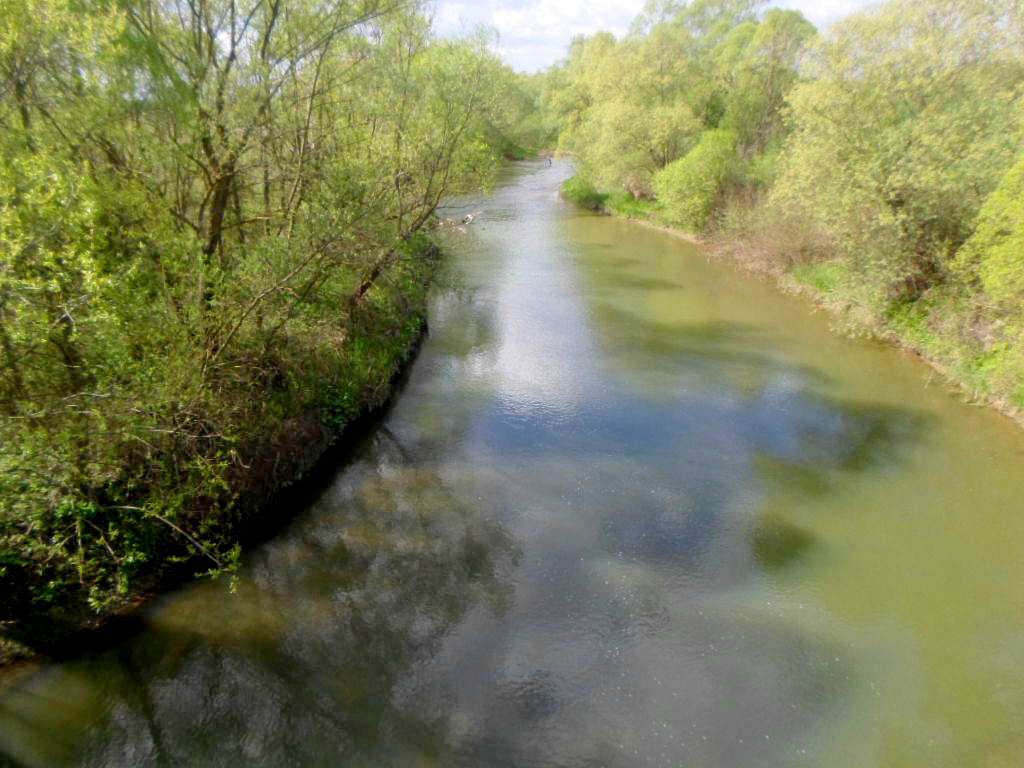 Річка Сукіль - Лани Соколівські