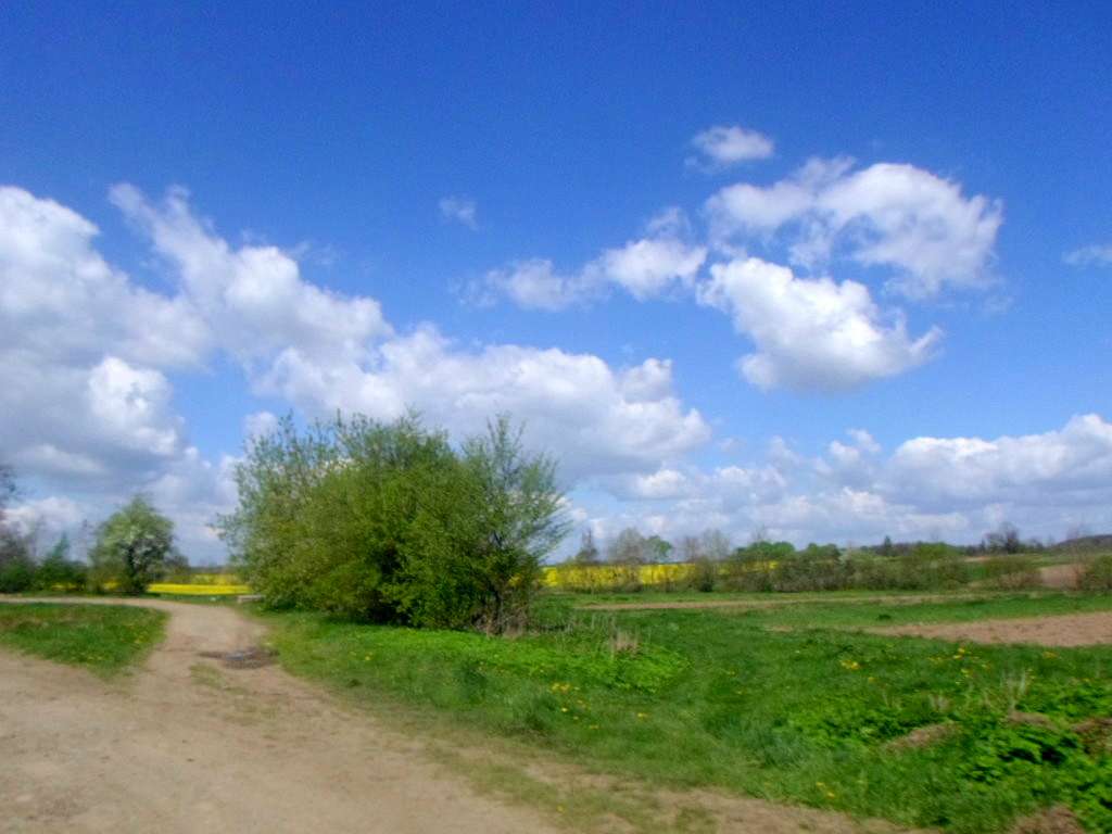 Краєвид - Лотатники