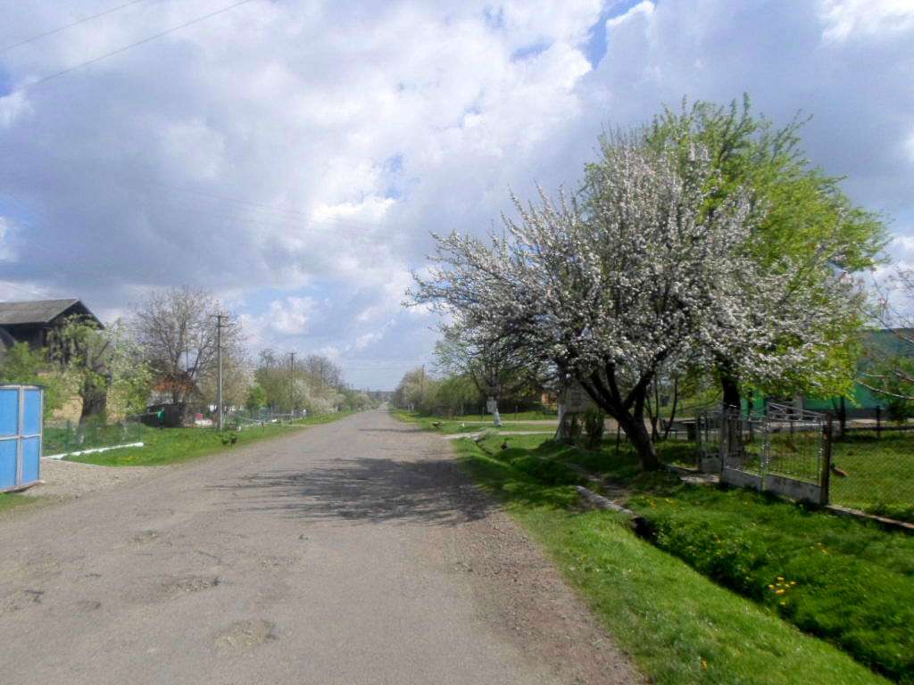 Краєвид - Sykhiv