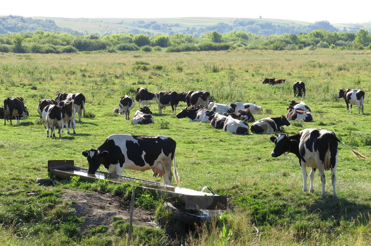 ДОРОГОБУЖ. ПЕРЕД ТРІЙЦЕЮ ПОНАД ГОРИННЮ. - Дорогобуж