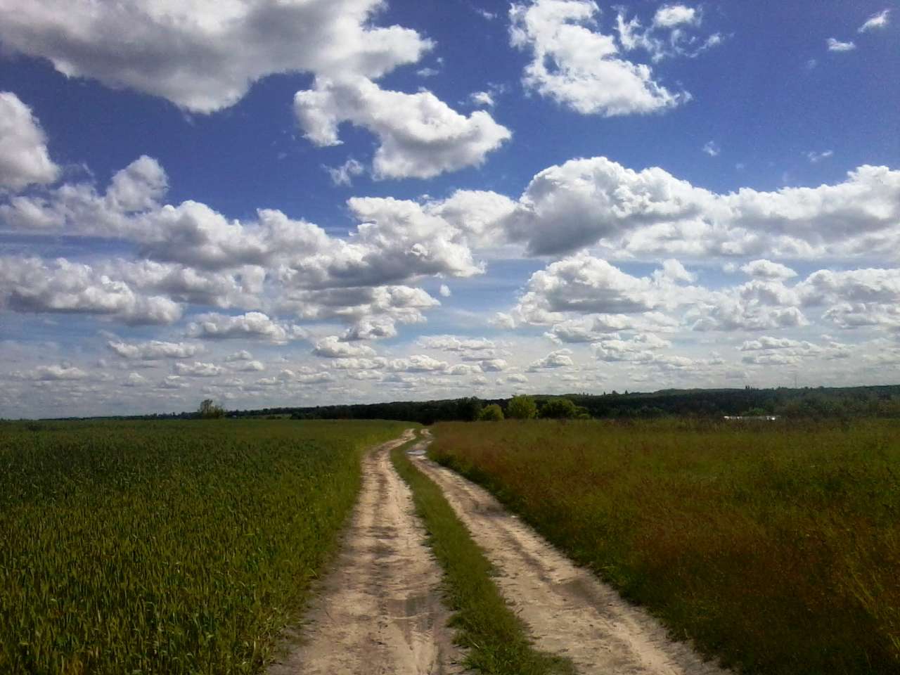 Krol - Кролевець